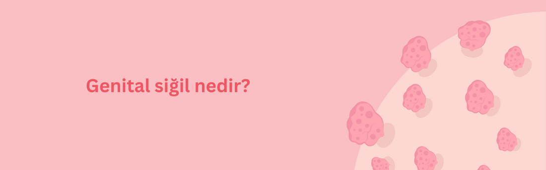 Genital Siğil Nedir? Belirtileri, Nedenleri ve Tedavi Yöntemleri Hakkında Bilmeniz Gerekenler