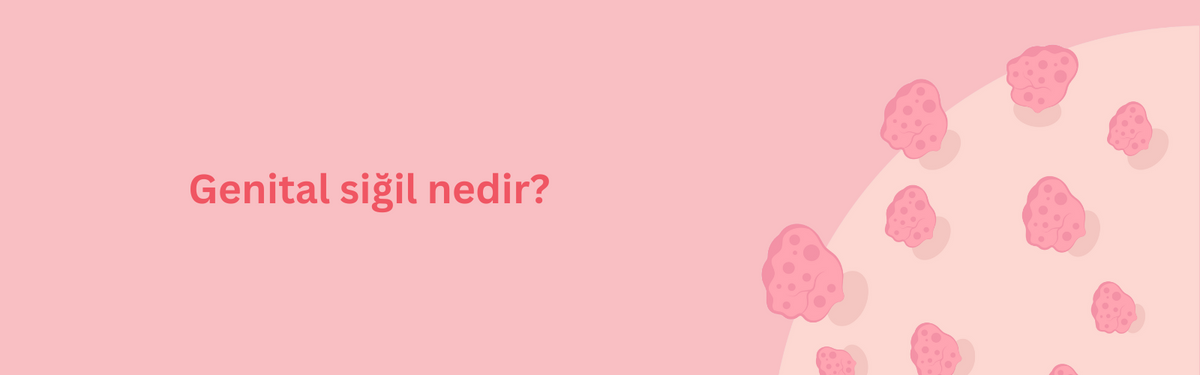 Genital Siğil Nedir? Belirtileri, Nedenleri ve Tedavi Yöntemleri Hakkında Bilmeniz Gerekenler