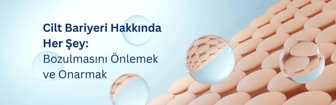 Cilt Bariyeri Hakkında Her Şey