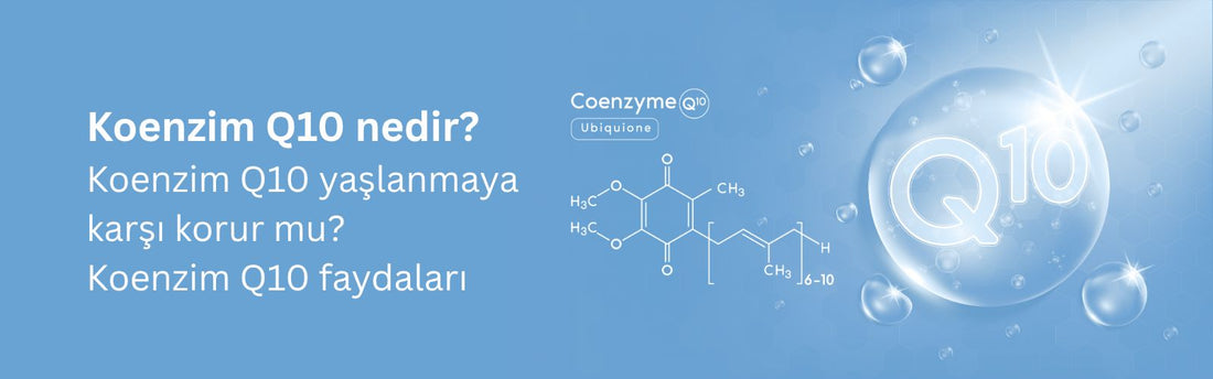 Koenzim Q10 Nedir? Koenzim Q10 Faydaları