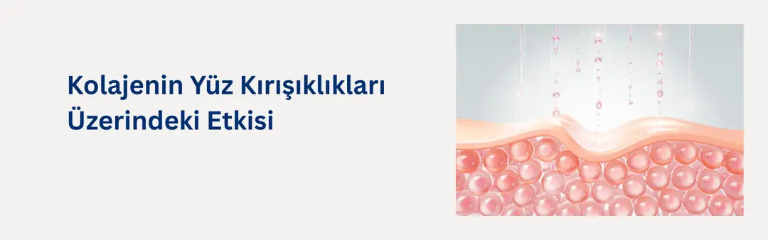 Kolajenin Yüz Kırışıklıkları Üzerindeki Etkisi