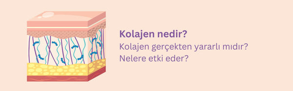 Kolajen Nedir? Kolajen Gerçekten Yararlı mıdır? Kolajen Nelere Etki Eder?