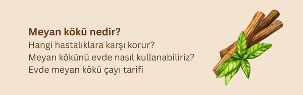 Meyan Kökü Ne İşe Yarar? Nasıl Kullanılır? Evde Meyan Kökü Çayı Tarifi