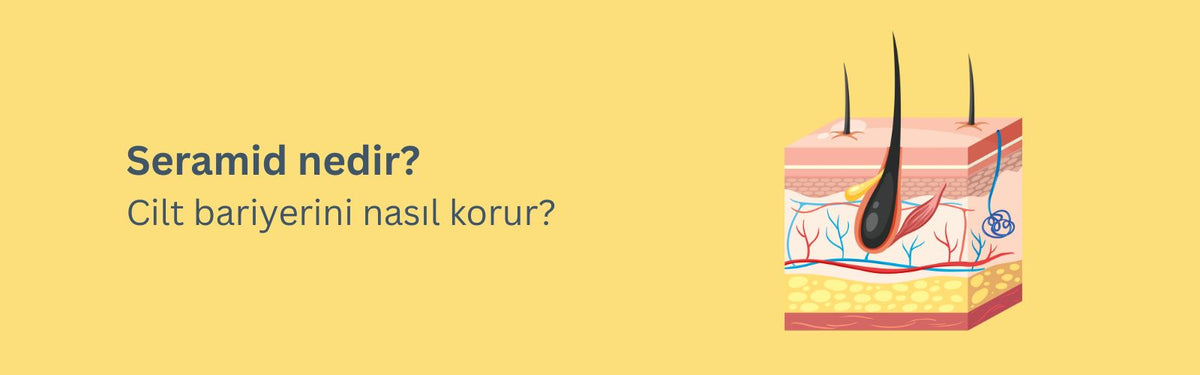 Cilt Bariyerinizi Güçlendirmek İçin Seramid Kullanım Rehberiniz
